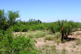 5 Acres Papago Way - Photo 2