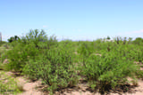 5 Acres Papago Way - Photo 3