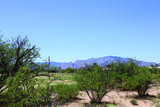 5 Acres Papago Way - Photo 5
