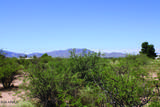 5 Acres Papago Way - Photo 6