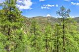 00 Forest Service Rd 73 - Photo 21