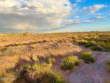 8983 Down Under Rd 38.82 Acres - Photo 14