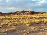 8983 Down Under Rd 38.82 Acres - Photo 16