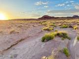 8983 Down Under Rd 38.82 Acres - Photo 18