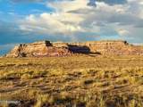 8983 Down Under Rd 38.82 Acres - Photo 2