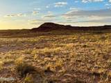 8983 Down Under Rd 38.82 Acres - Photo 21