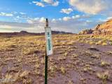 8983 Down Under Rd 38.82 Acres - Photo 3