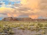 8983 Down Under Rd 38.82 Acres - Photo 4