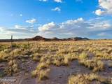 8983 Down Under Rd 38.82 Acres - Photo 6