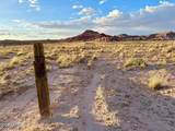 8983 Down Under Rd 38.82 Acres - Photo 8