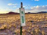 8983 Down Under Rd 38.82 Acres - Photo 9