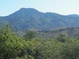 1830 Sable Ridge Road - Photo 1
