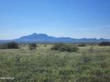 TBD Deer Ridge Trail - Photo 1