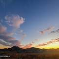 11800 Pinnacle Vista Drive - Photo 7