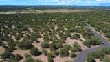 1939 Bourdon Ranch Road - Photo 10