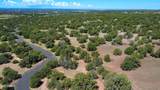 1939 Bourdon Ranch Road - Photo 12