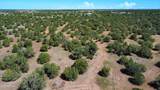 1939 Bourdon Ranch Road - Photo 13