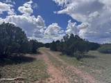 1939 Bourdon Ranch Road - Photo 3
