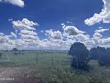 1939 Bourdon Ranch Road - Photo 5