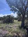 1939 Bourdon Ranch Road - Photo 6