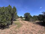1939 Bourdon Ranch Road - Photo 8