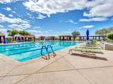 1620 Silver Pine Drive - Photo 97
