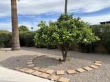 11025 Campana Drive - Photo 40