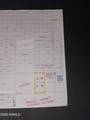 42800 12 Street - Photo 13