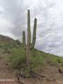 42800 12 Street - Photo 4