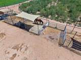 11142 Copper Dust Trail - Photo 40