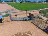 11142 Copper Dust Trail - Photo 41