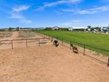 11142 Copper Dust Trail - Photo 42