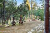 3408 High Country Drive - Photo 43