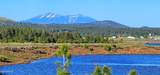 1768 Sagebrush Road - Photo 14
