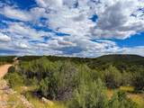 0 Elkhorn Pass 36 Acres - Photo 21