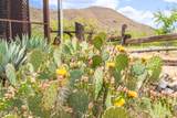 7101 White Pacheco Street - Photo 46