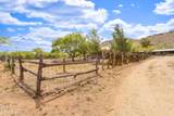 7101 White Pacheco Street - Photo 68