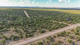 4897 Sunset Ridge Loop Loop - Photo 9