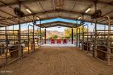 31208 176TH Street - Photo 42