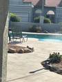 8719 Fountain Drive - Photo 15