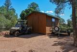 401 Whitetail Drive - Photo 48
