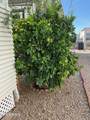 17200 Bell Road - Photo 14
