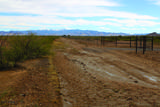 5 Acres Morgan Road - Photo 17
