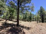 4215 Apache Drive - Photo 1