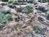17357 Trails End Road - Photo 31