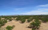 2997 Bootjack Lane - Photo 7
