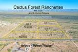 1850 Cactus Forest Road - Photo 2