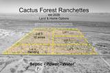 1850 Cactus Forest Road - Photo 3