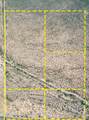1850 Cactus Forest Road - Photo 4