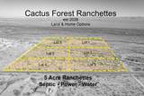 1850 Cactus Forest Road - Photo 6